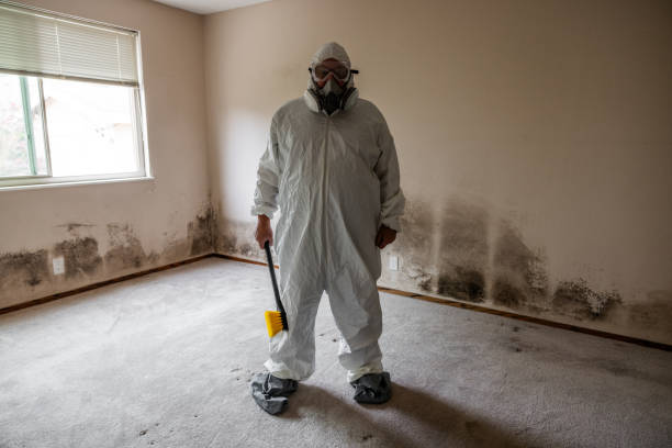 Trusted Princeton, TX Mold Remediation Experts